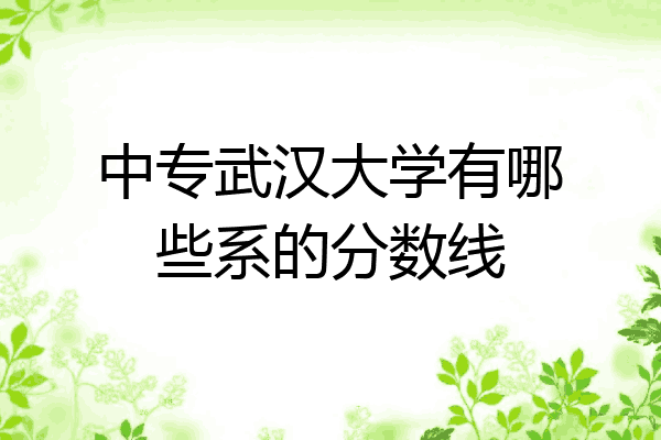 中专武汉大学有哪些系的分数线