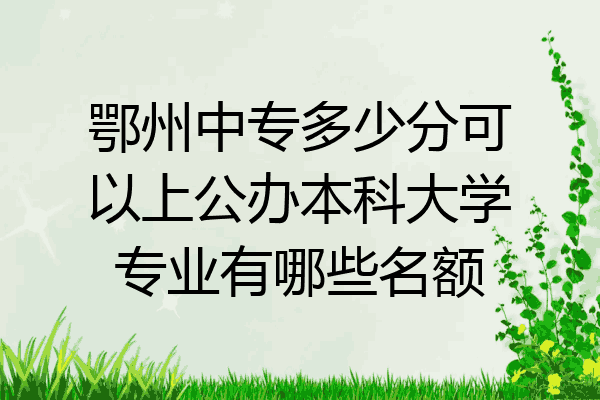 鄂州中专多少分可以上公办本科大学专业有哪些名额