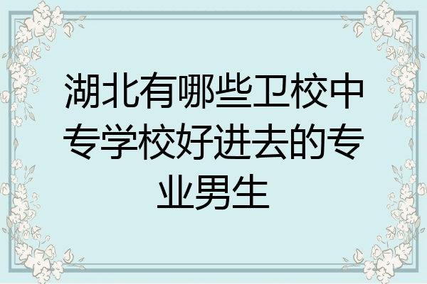 湖北有哪些卫校中专学校好进去的专业男生