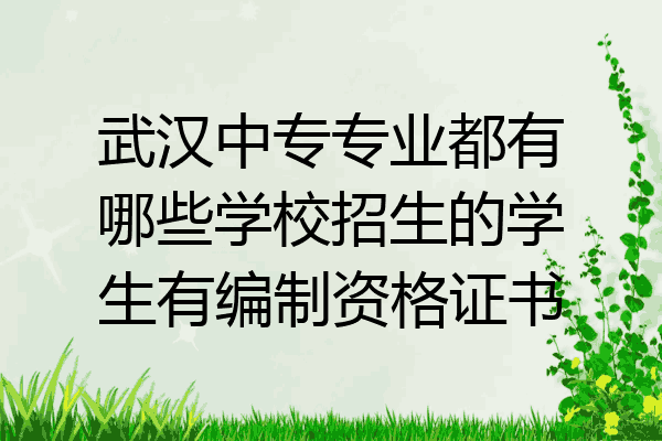 武汉中专专业都有哪些学校招生的学生有编制资格证书
