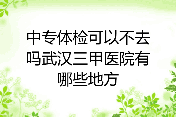 中专体检可以不去吗武汉三甲医院有哪些地方