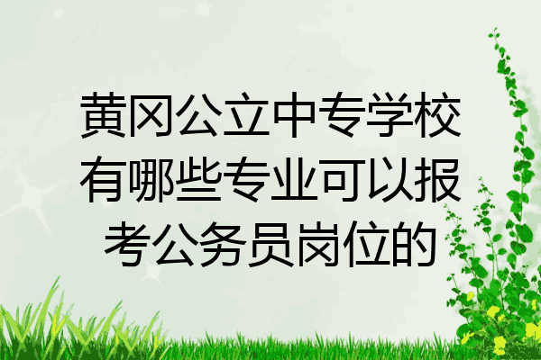 黄冈公立中专学校有哪些专业可以报考公务员岗位的