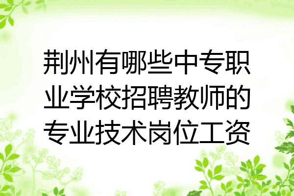 荆州有哪些中专职业学校招聘教师的专业技术岗位工资