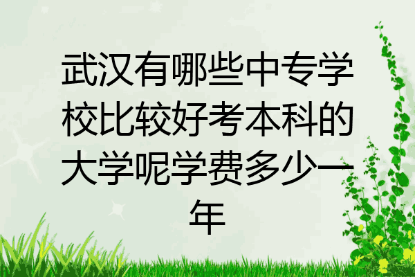 武汉有哪些中专学校比较好考本科的大学呢学费多少一年