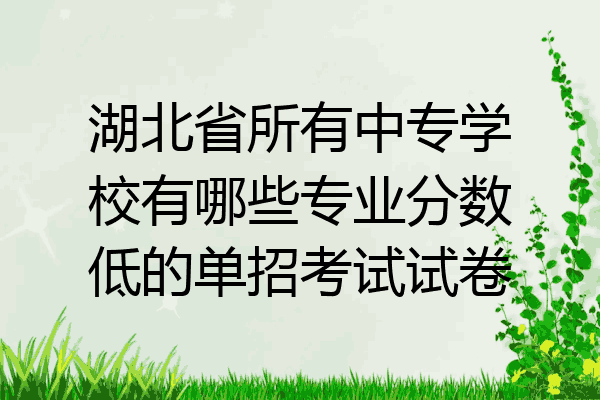 湖北省所有中专学校有哪些专业分数低的单招考试试卷