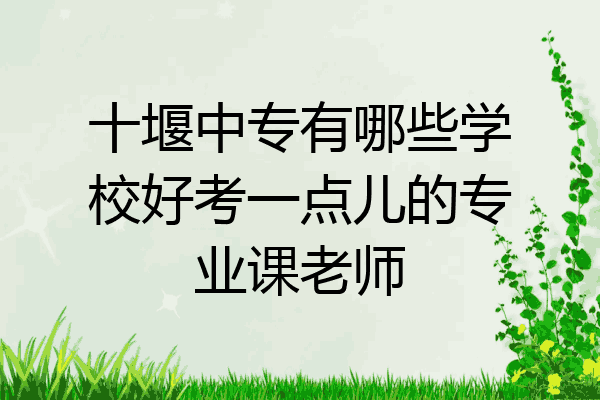十堰中专有哪些学校好考一点儿的专业课老师