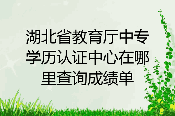 湖北省教育厅中专学历认证中心在哪里查询成绩单