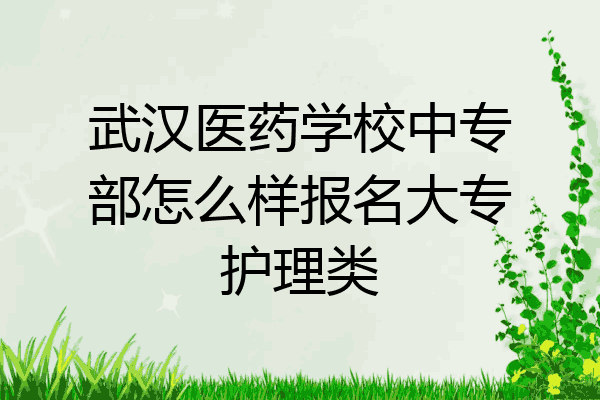 武汉医药学校中专部怎么样报名大专护理类