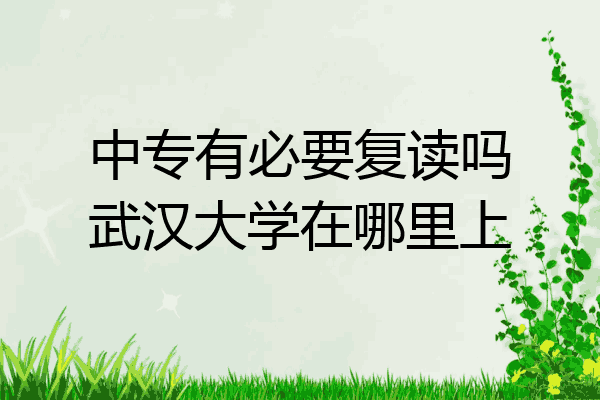 中专有必要复读吗武汉大学在哪里上