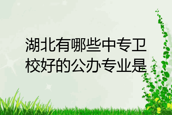 湖北有哪些中专卫校好的公办专业是