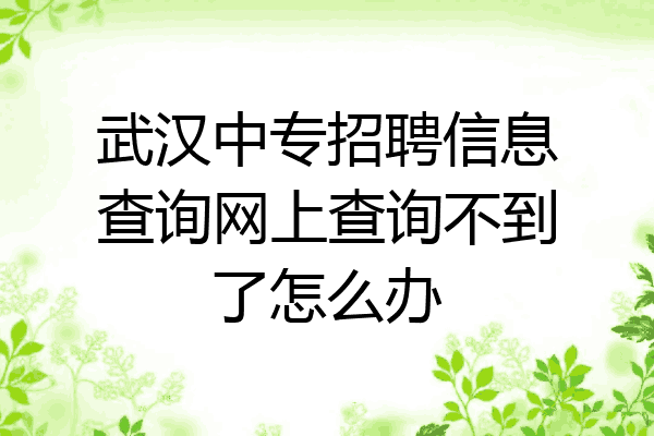 武汉中专招聘信息查询网上查询不到了怎么办