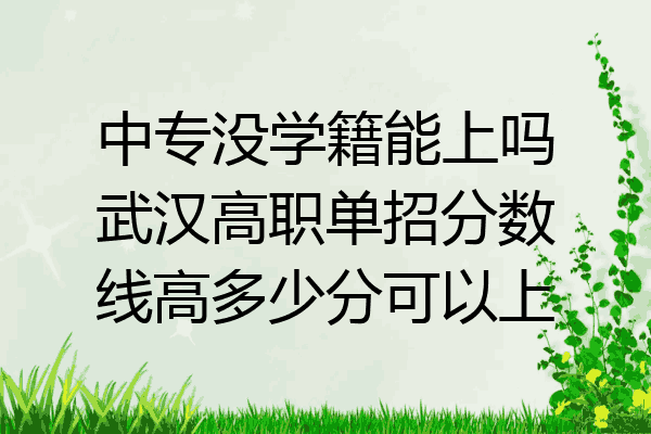 中专没学籍能上吗武汉高职单招分数线高多少分可以上