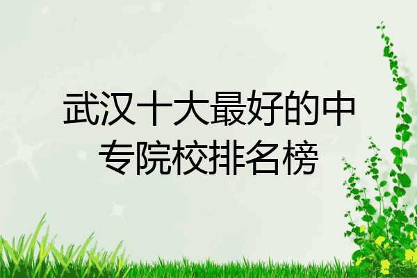 武汉十大最好的中专院校排名榜