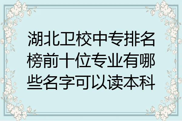 湖北卫校中专排名榜前十位专业有哪些名字可以读本科