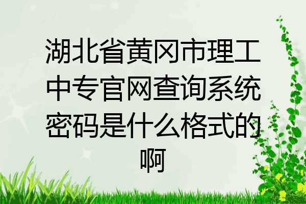 湖北省黄冈市理工中专官网查询系统密码是什么格式的啊