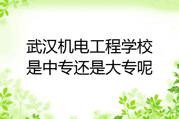 武汉机电工程学校是中专还是大专呢