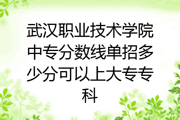 武汉职业技术学院中专分数线单招多少分可以上大专专科