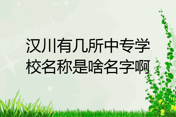 汉川有几所中专学校名称是啥名字啊