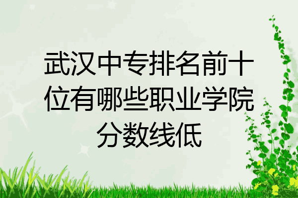 武汉中专排名前十位有哪些职业学院分数线低