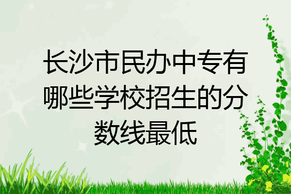 长沙市民办中专有哪些学校招生的分数线最低
