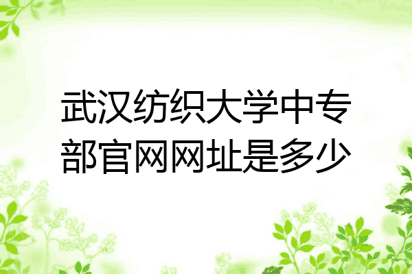 武汉纺织大学中专部官网网址是多少