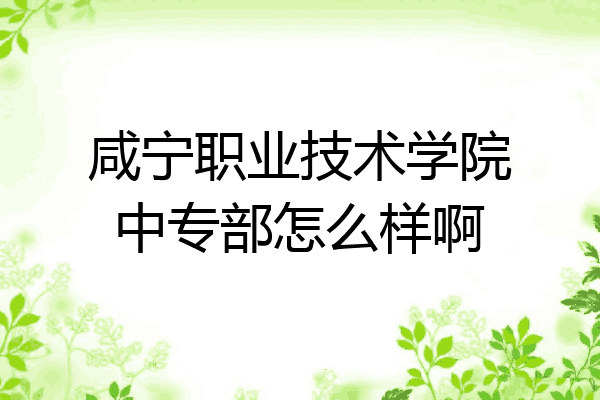 咸宁职业技术学院中专部怎么样啊