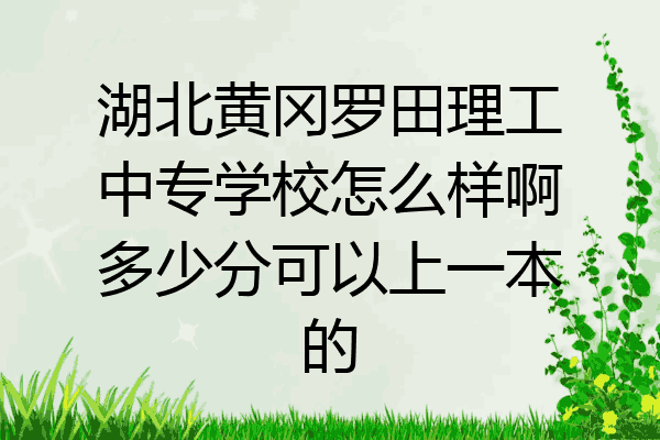 湖北黄冈罗田理工中专学校怎么样啊多少分可以上一本的