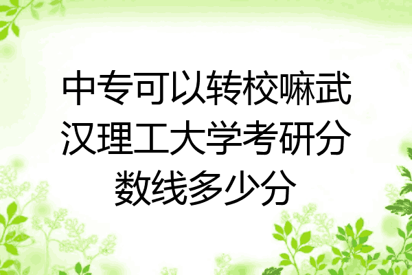 中专可以转校嘛武汉理工大学考研分数线多少分