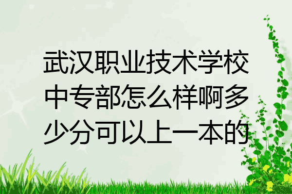 武汉职业技术学校中专部怎么样啊多少分可以上一本的