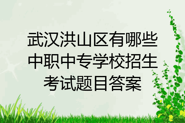 武汉洪山区有哪些中职中专学校招生考试题目答案