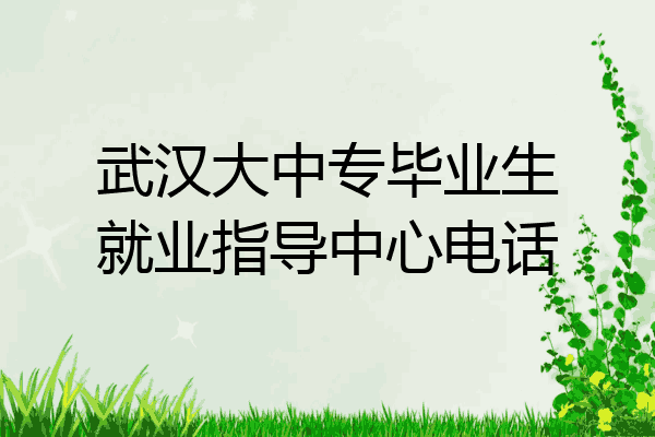 武汉大中专毕业生就业指导中心电话