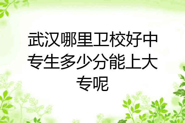 武汉哪里卫校好中专生多少分能上大专呢