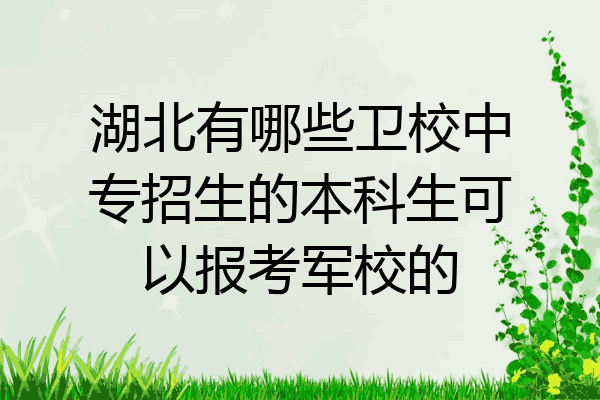 湖北有哪些卫校中专招生的本科生可以报考军校的