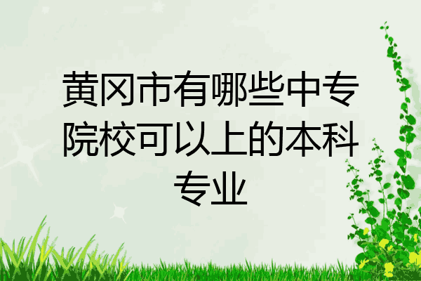 黄冈市有哪些中专院校可以上的本科专业