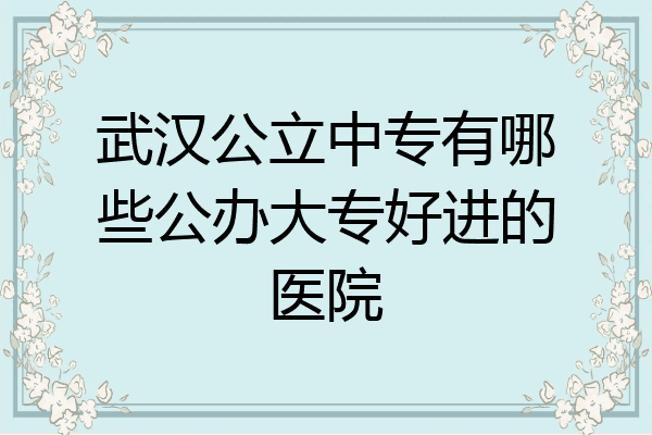武汉公立中专有哪些公办大专好进的医院