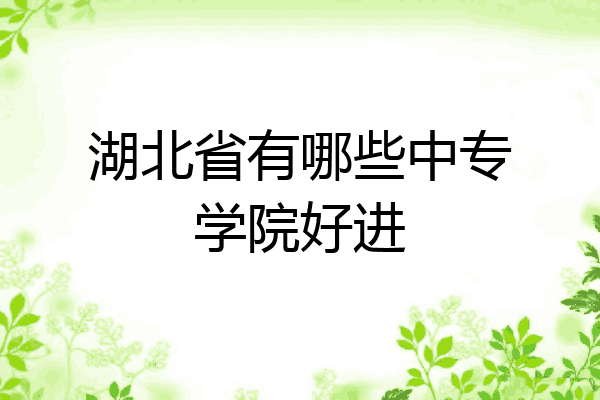 湖北省有哪些中专学院好进