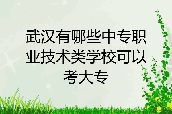 武汉有哪些中专职业技术类学校可以考大专