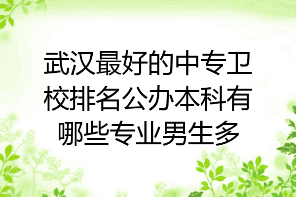 武汉最好的中专卫校排名公办本科有哪些专业男生多
