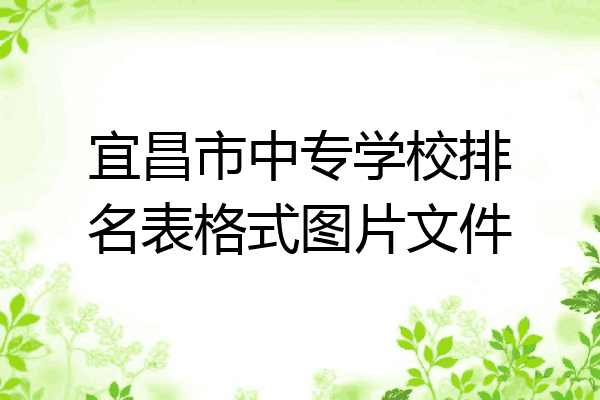 宜昌市中专学校排名表格式图片文件