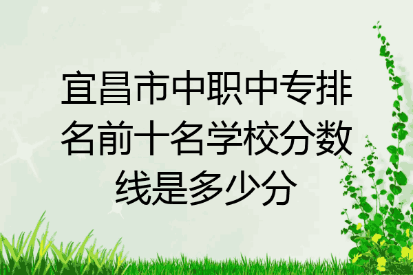 宜昌市中职中专排名前十名学校分数线是多少分