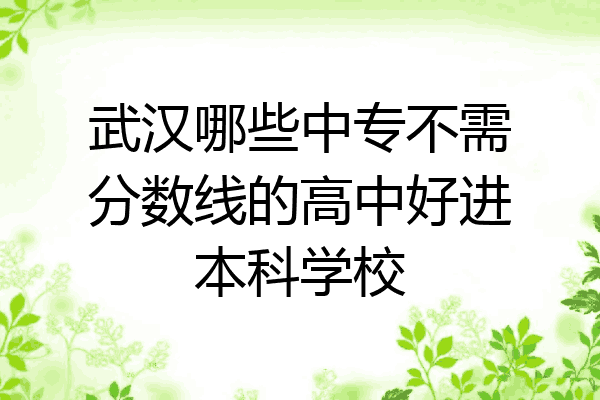 武汉哪些中专不需分数线的高中好进本科学校