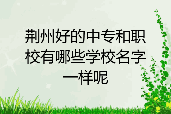 荆州好的中专和职校有哪些学校名字一样呢