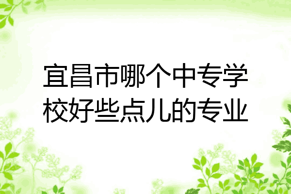 宜昌市哪个中专学校好些点儿的专业