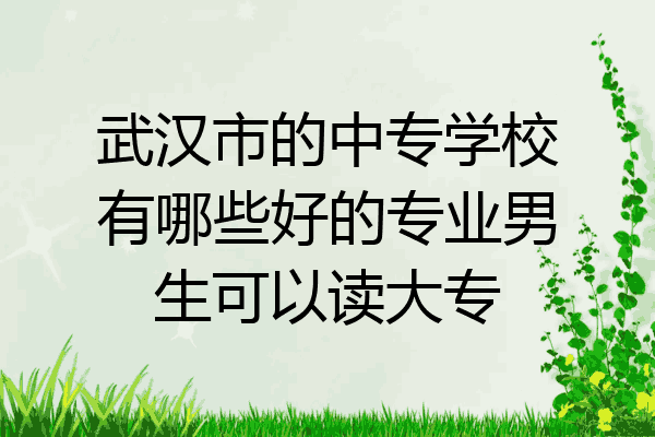 武汉市的中专学校有哪些好的专业男生可以读大专