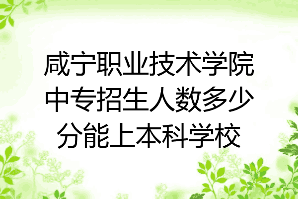 咸宁职业技术学院中专招生人数多少分能上本科学校
