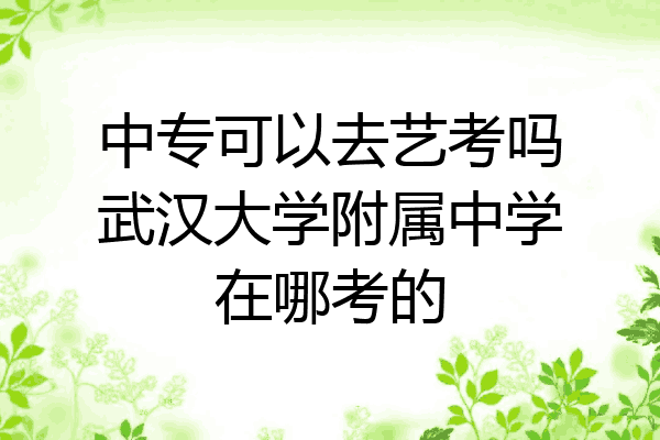 中专可以去艺考吗武汉大学附属中学在哪考的