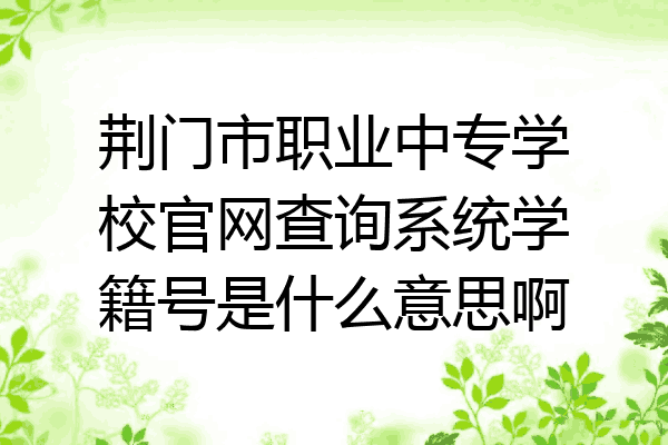 荆门市职业中专学校官网查询系统学籍号是什么意思啊