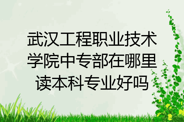 武汉工程职业技术学院中专部在哪里读本科专业好吗