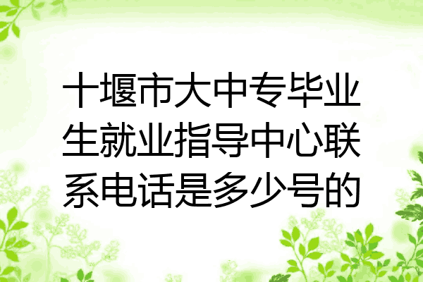 十堰市大中专毕业生就业指导中心联系电话是多少号的