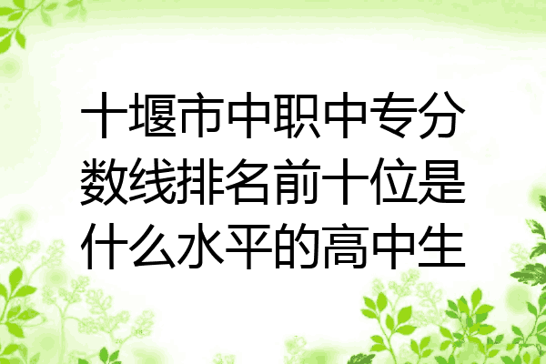 十堰市中职中专分数线排名前十位是什么水平的高中生
